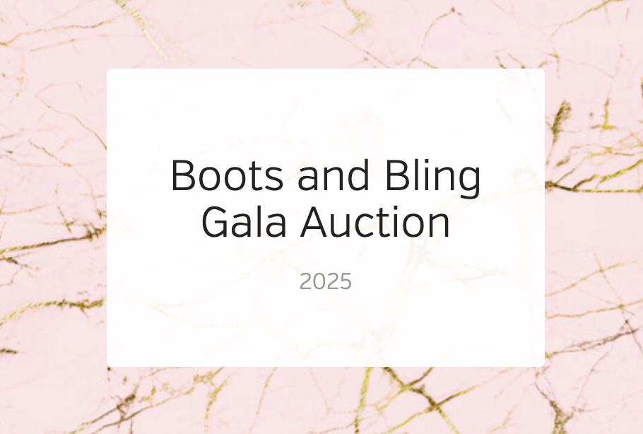 Boots and Bling gala auction